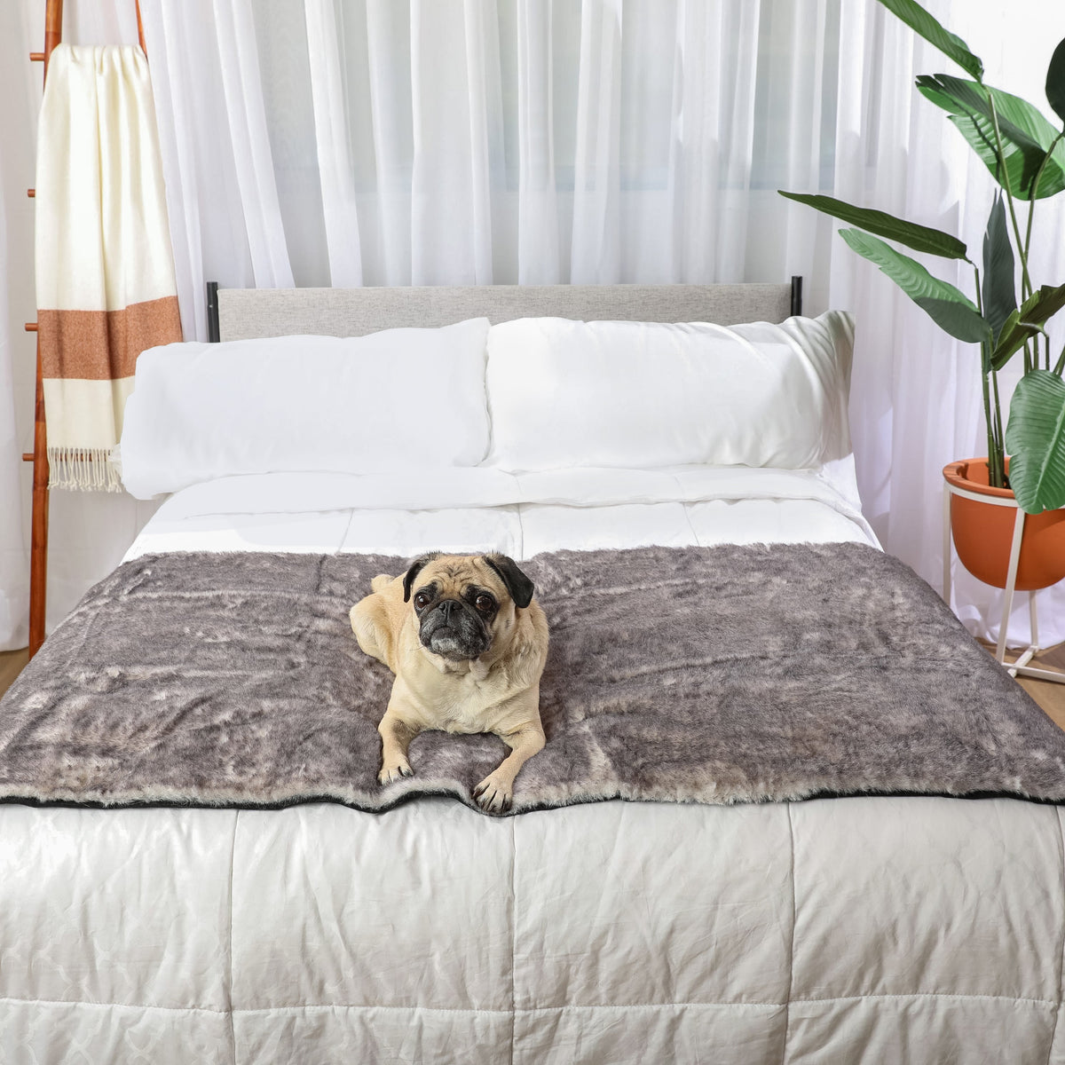 PupProtector Luxe Waterproof Bed Runner Ultra Soft Chinchilla