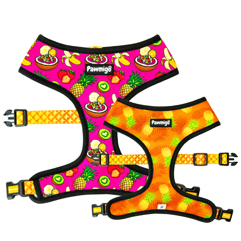 Snack Shack Reversible Harness Pawmigo – HT Animal Supply