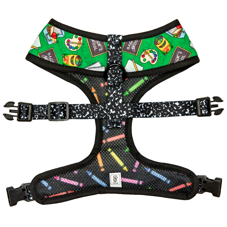 Teachers Pet Reversible Harness