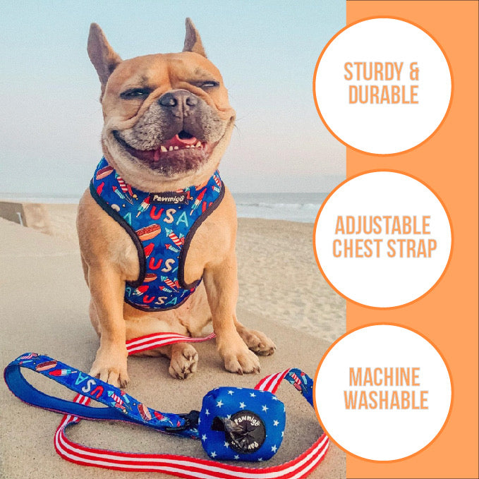 Teachers Pet Reversible Harness