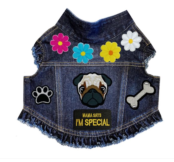 Paws & Petals Spring Denim Jacket