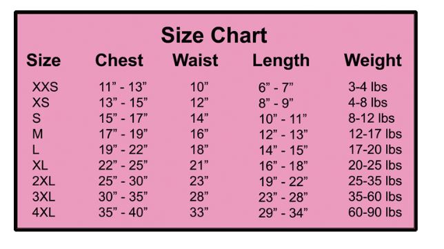 Paws & Petals Spring Denim Jacket