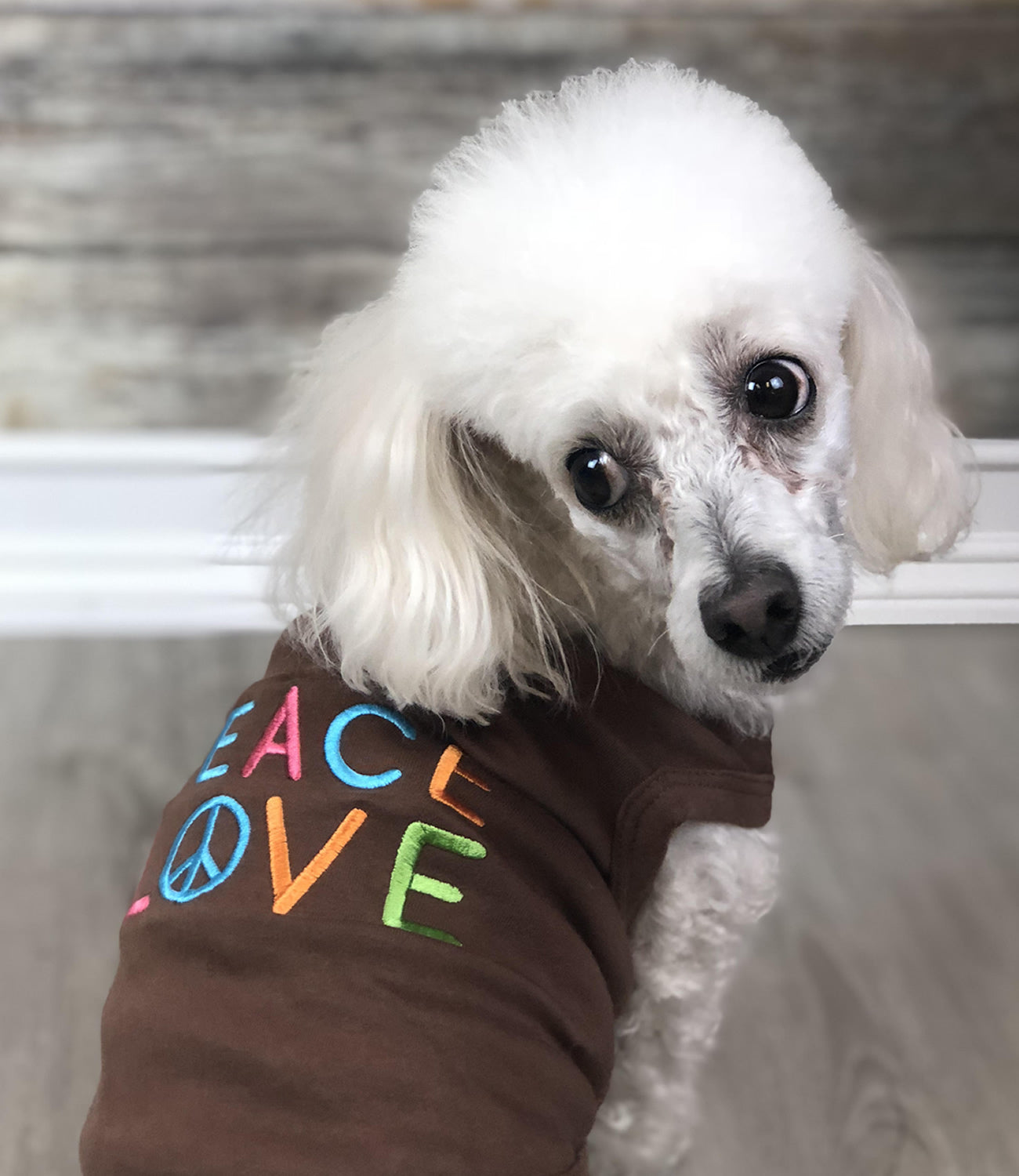 Parisian Pet Peace Love Positive Pet T-Shirt  Stylish Cotton Outfit for Dogs & Cats, Brown-Valentines Day