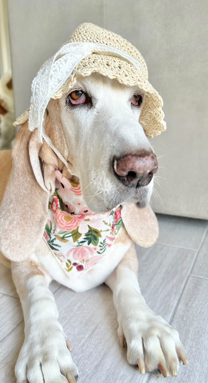 Peach Flower Bandana