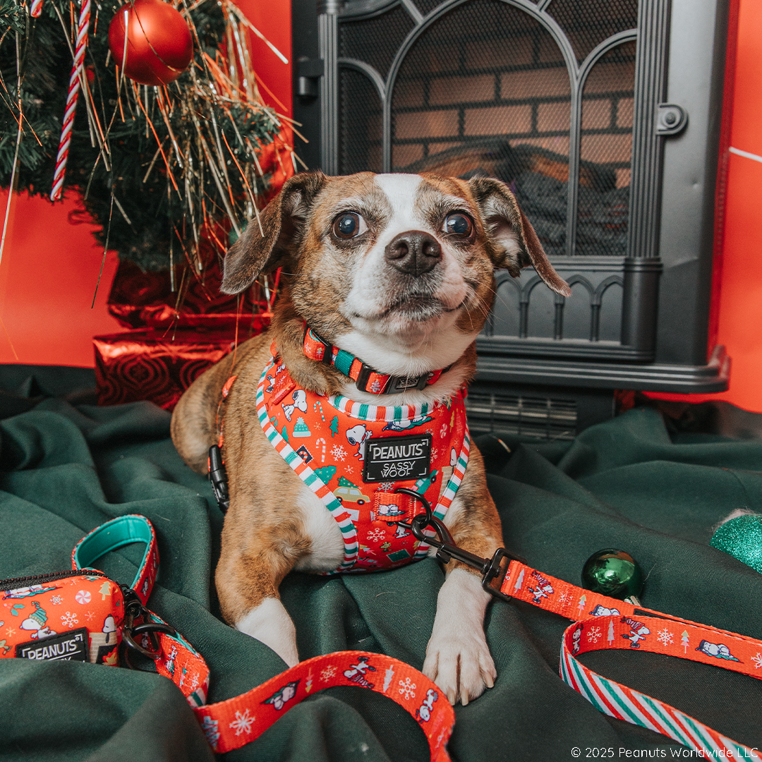 Dog Leash - Peanuts™ Beagle Bells
