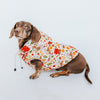 Dog Reversible Sherpa Jacket - PeanutsTM Harvest