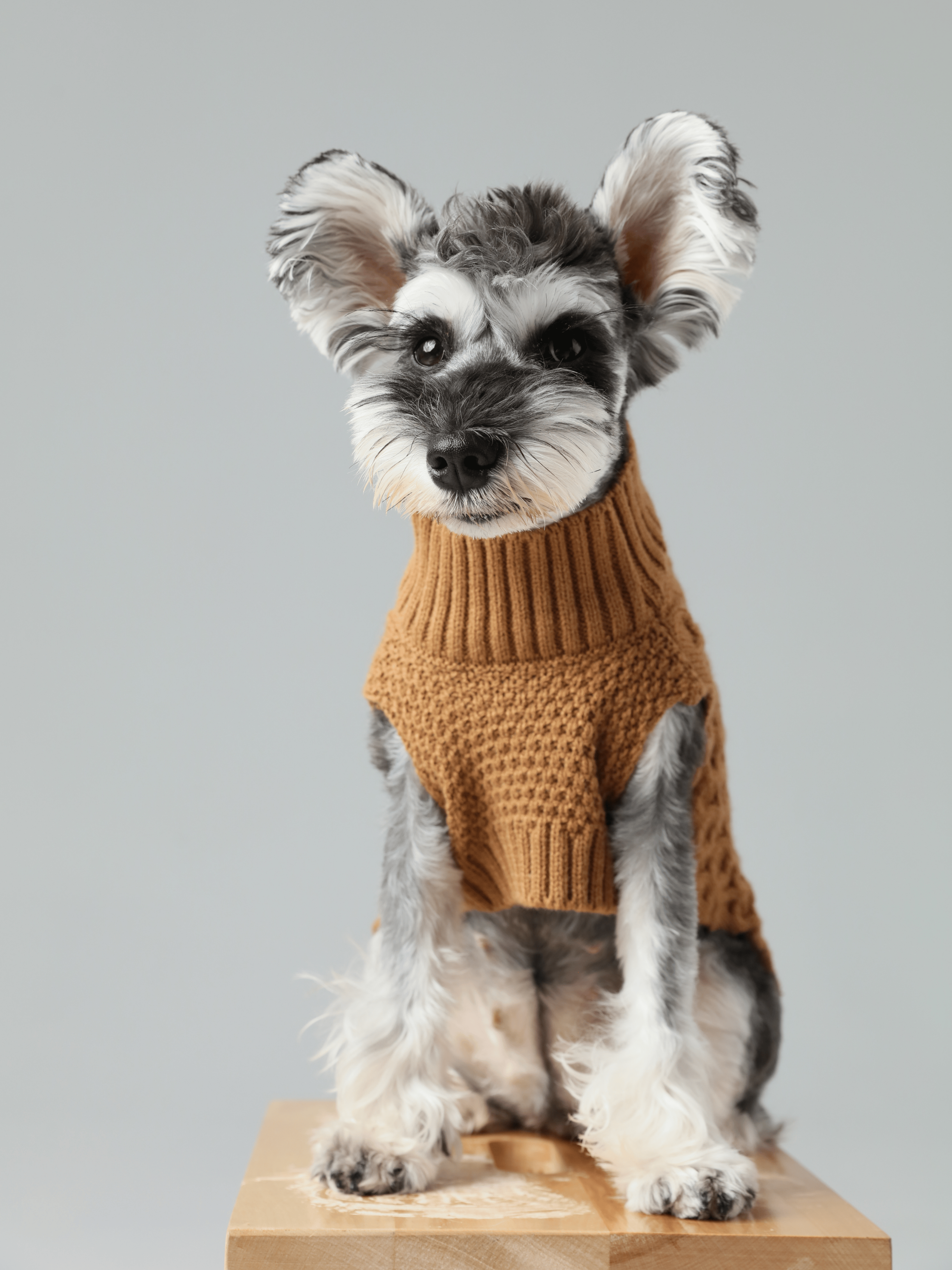 Pet Sweater Vest-Toffee Orange
