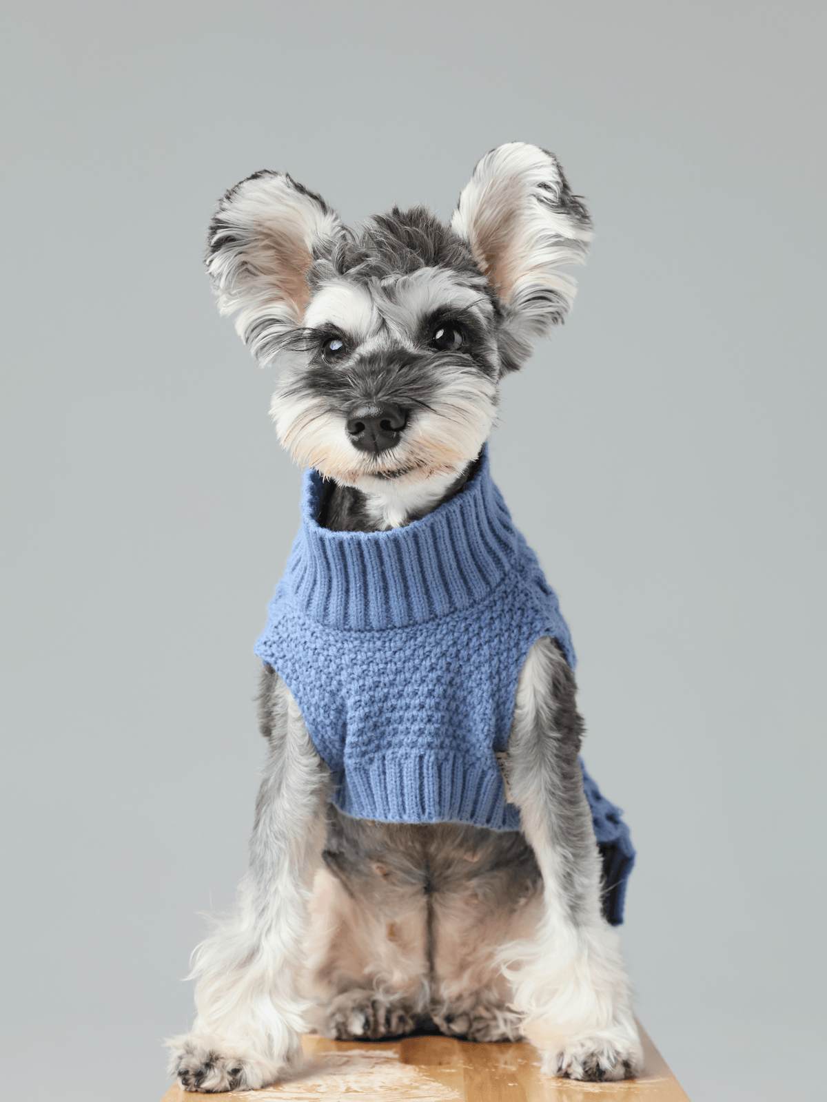 Pet Sweater Vest-Ice Blue
