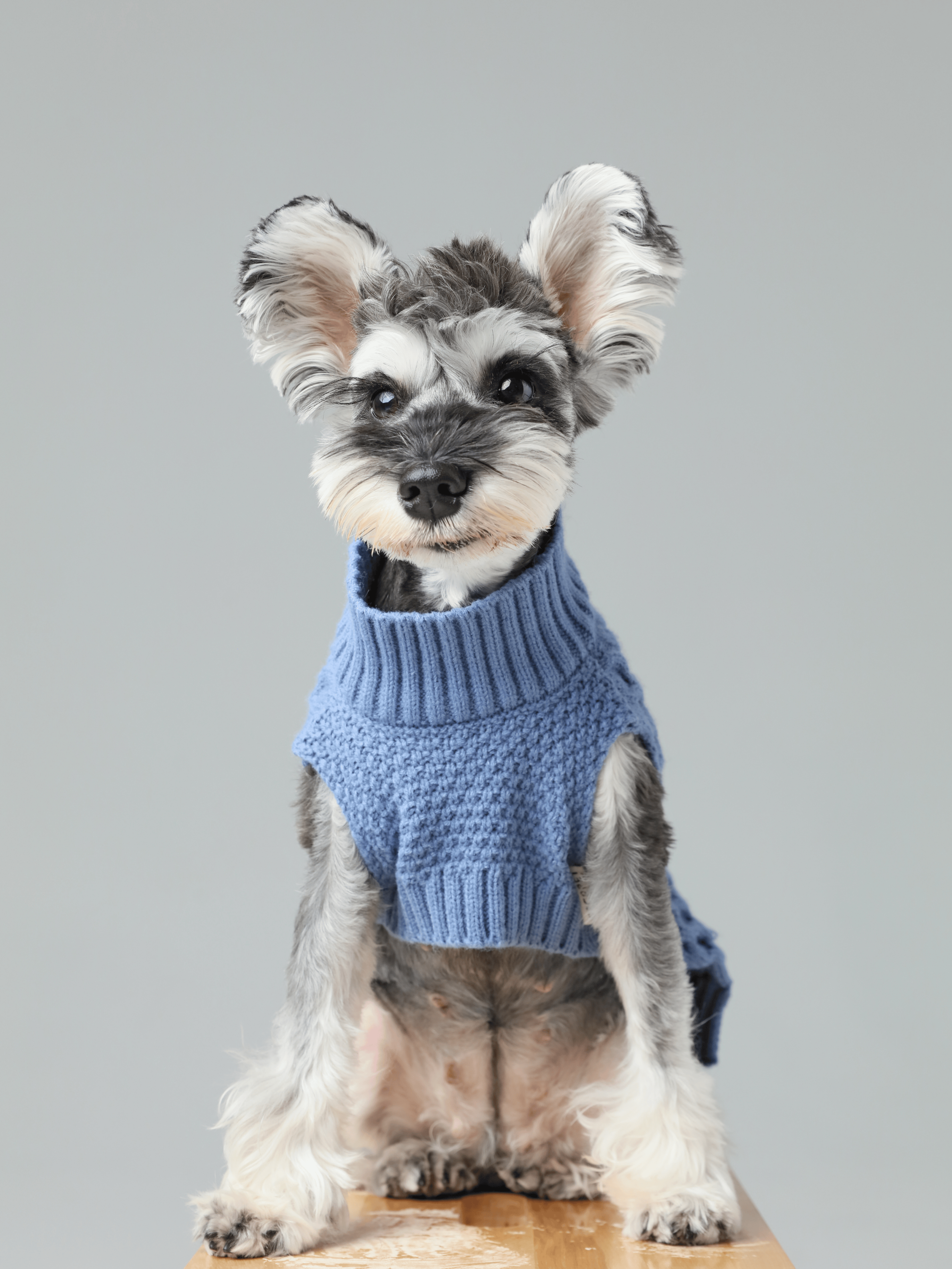 Pet Sweater Vest-Ice Blue