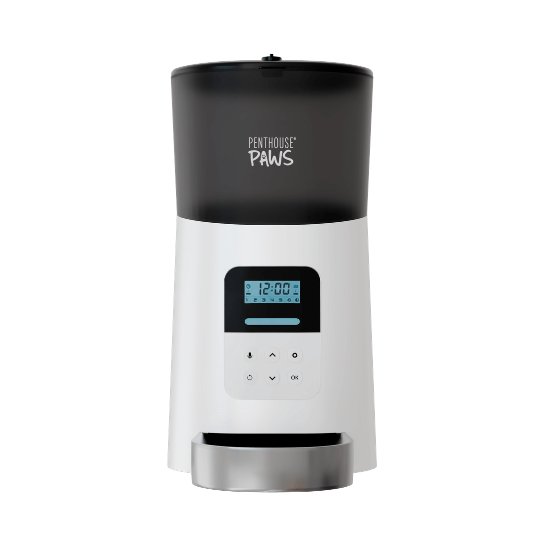 Automatic Cat Feeder