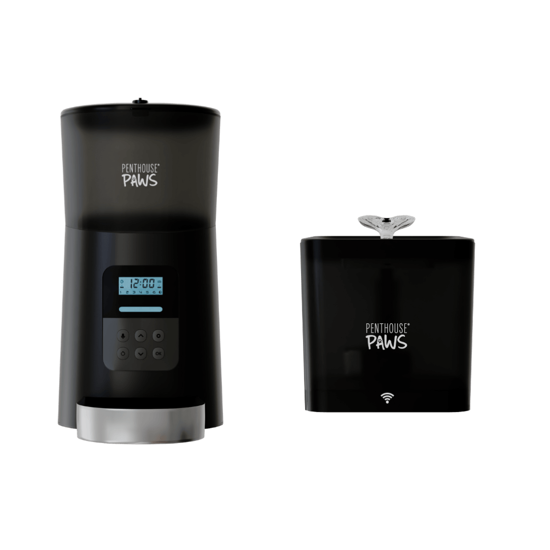 Automatic Cat Feeder & Smart Water Fountain