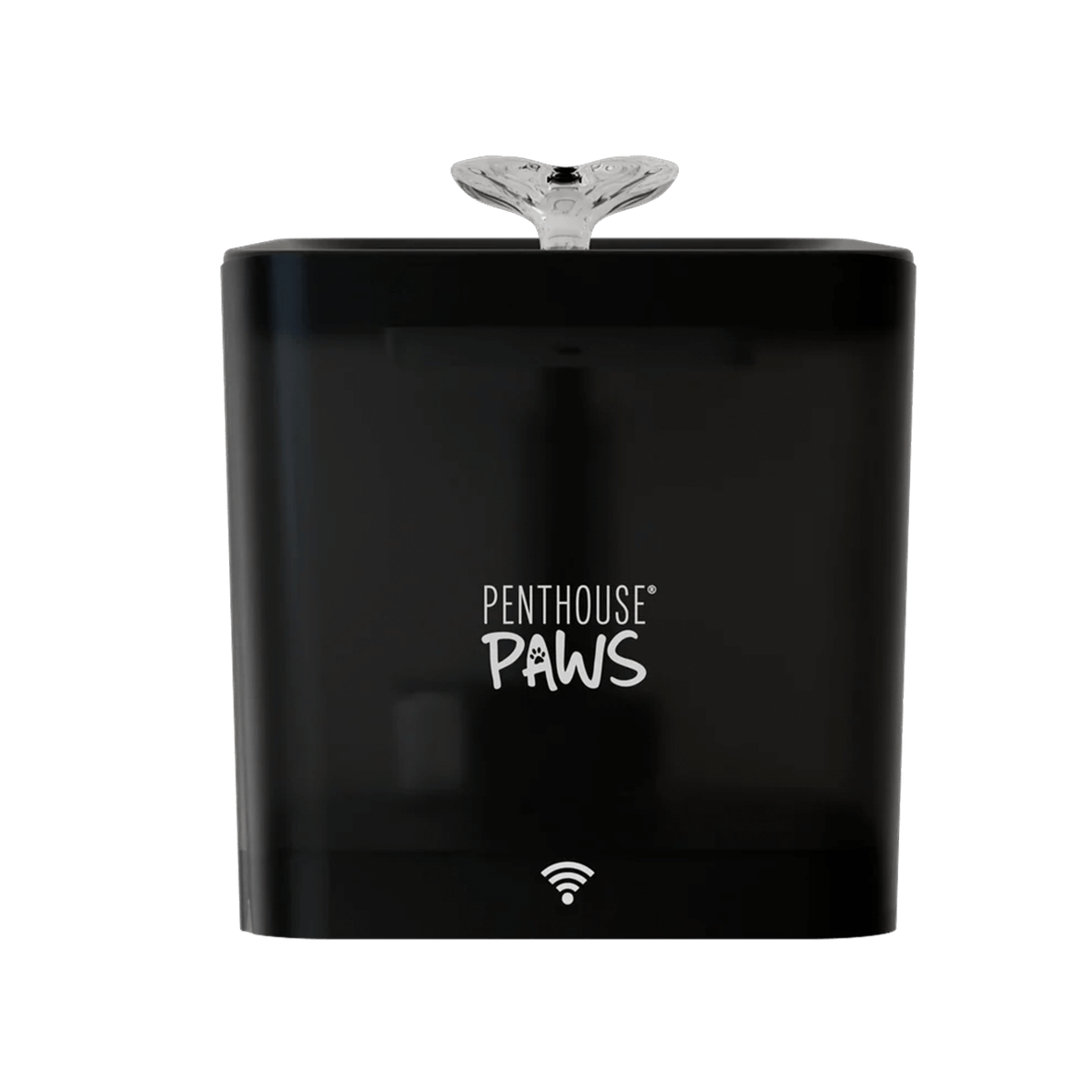 Smart Water Fountain