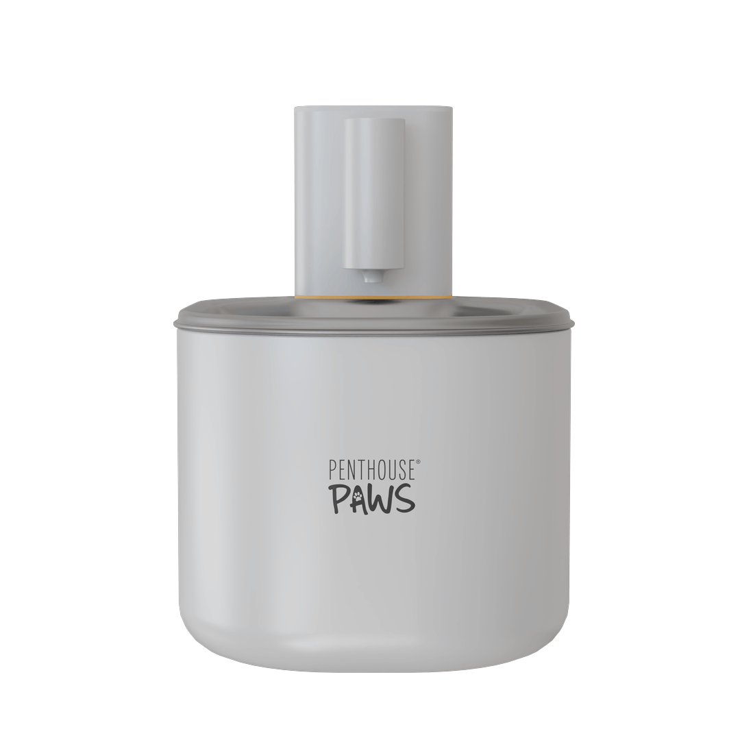 Smart Wireless Water Fountain