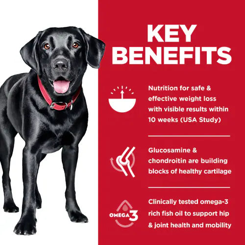 Hills Science Diet Adult Perfect Weight & Joint Support Large Breed Dry Dog Food, Chicken Recipe Bag (25lb)