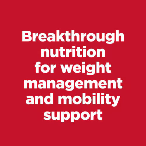 Hills Science Diet Adult Perfect Weight & Joint Support Large Breed Dry Dog Food, Chicken Recipe Bag (25lb)