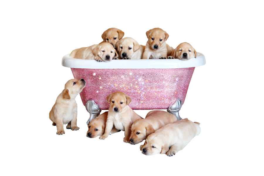Pet Diamond Crystal Bathtub