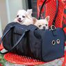 Pet Carrier Large - Black