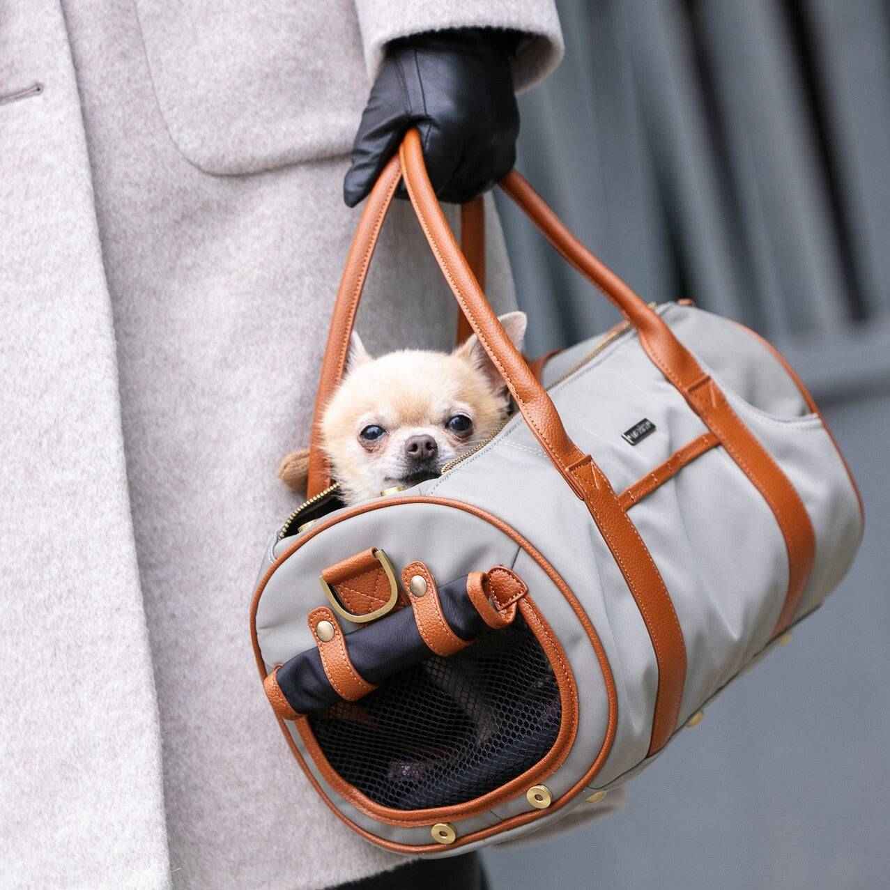 Pet Carriers & Totes: Collection of Pet Carriers & Totes-Pet Carrier Small - Beige