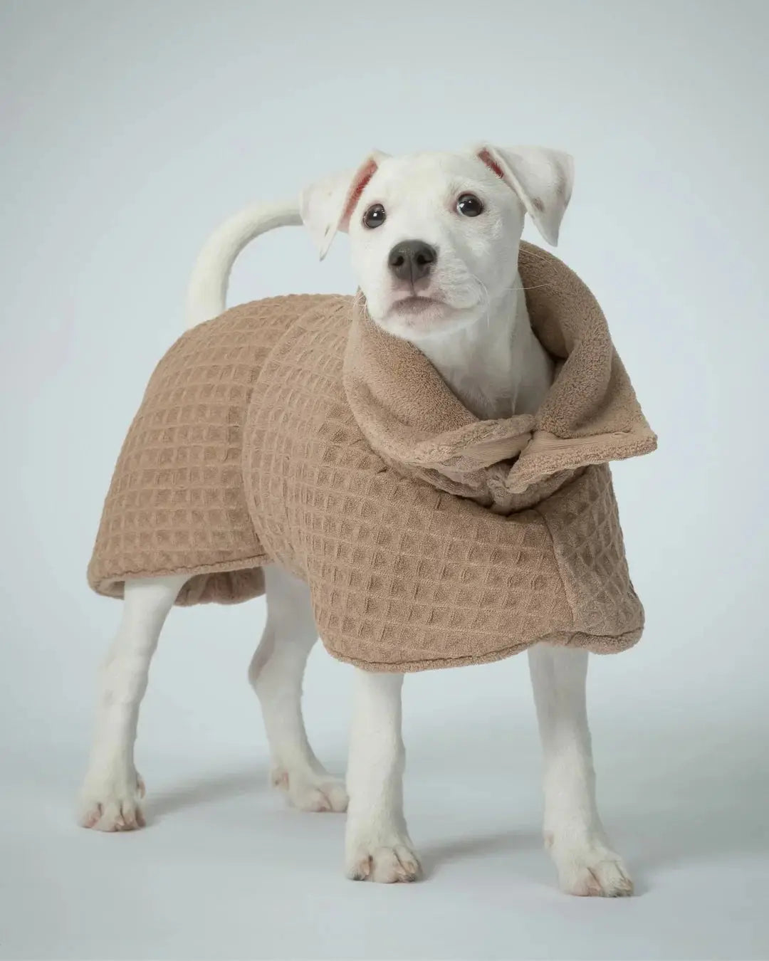 Pet Coats & Jackets: Collection of Pet Coats & Jackets-Drying Coat Spa taupe for Dogs