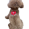 Bow Tie Dog Harness in Pleather, Red