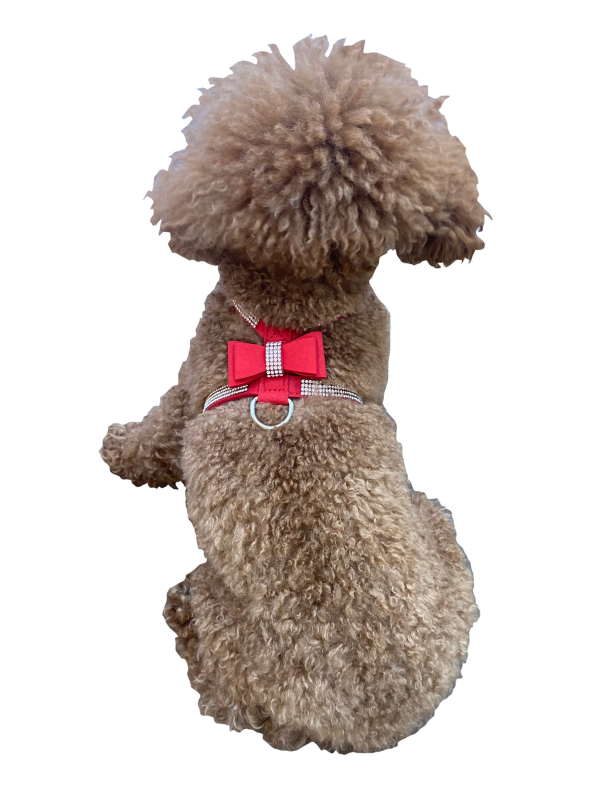 Bow Tie Dog Harness in Pleather, Red