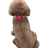 Bow Tie Dog Collar in Pleather, Red
