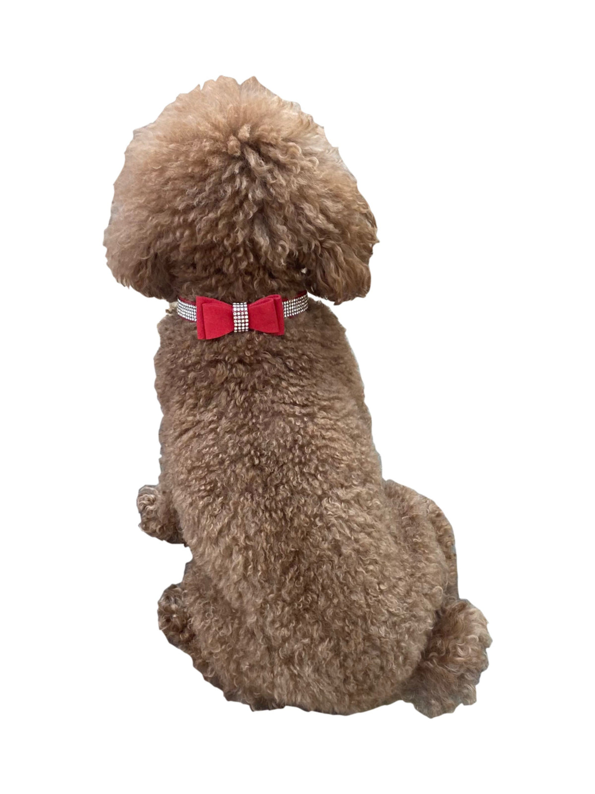 Bow Tie Dog Collar in Pleather, Red