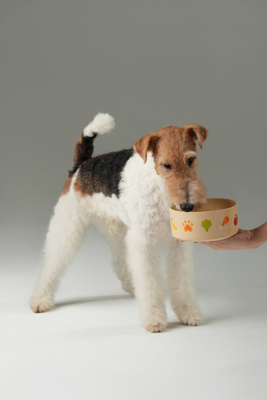 Nomnom Bowl