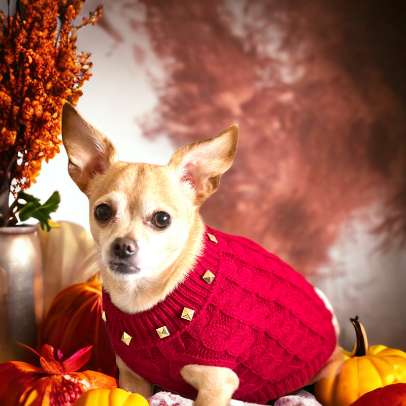 Bark 5th Ave., LLC Studded Knit Turtleneck- Dog Sweater pet supplies