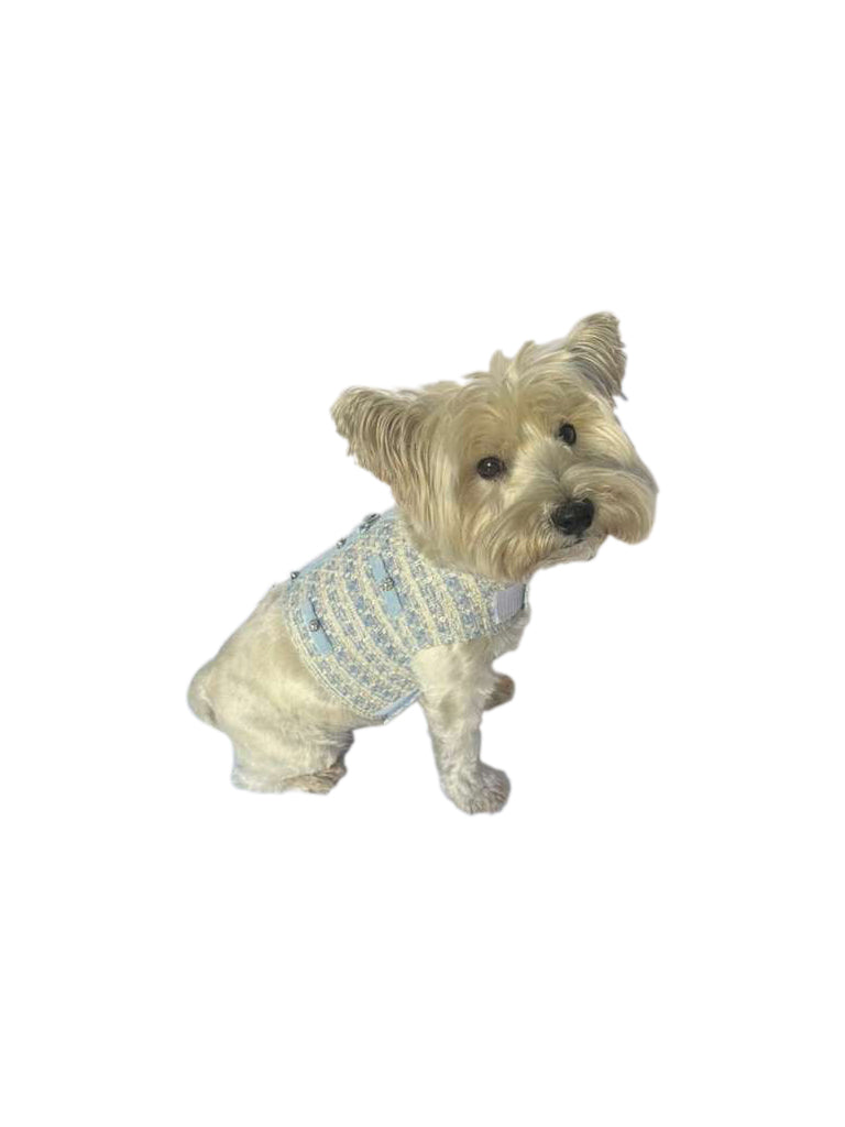 No. 5 Tweed Harness, Lt. Blue