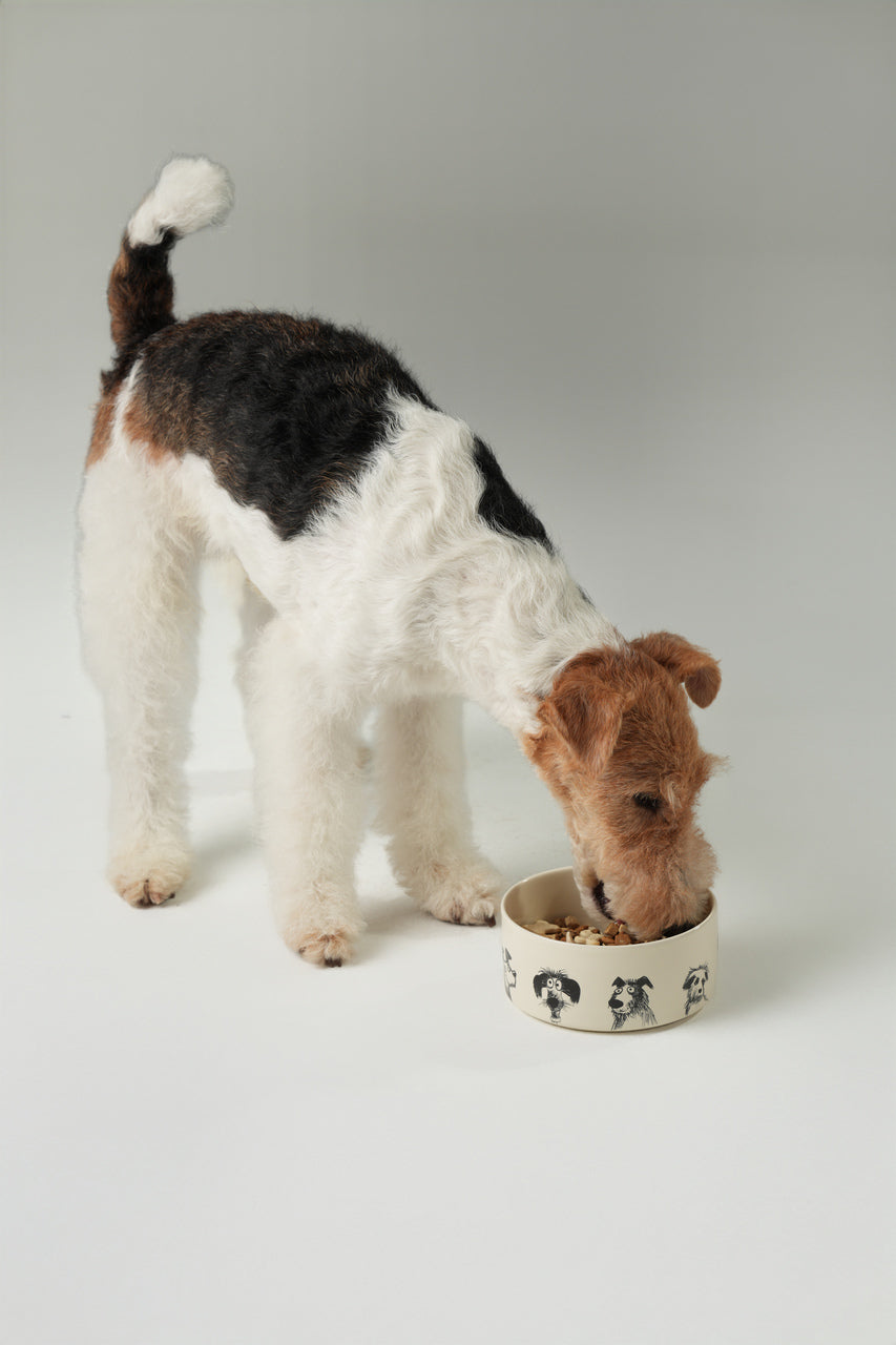 Derpy Bowl