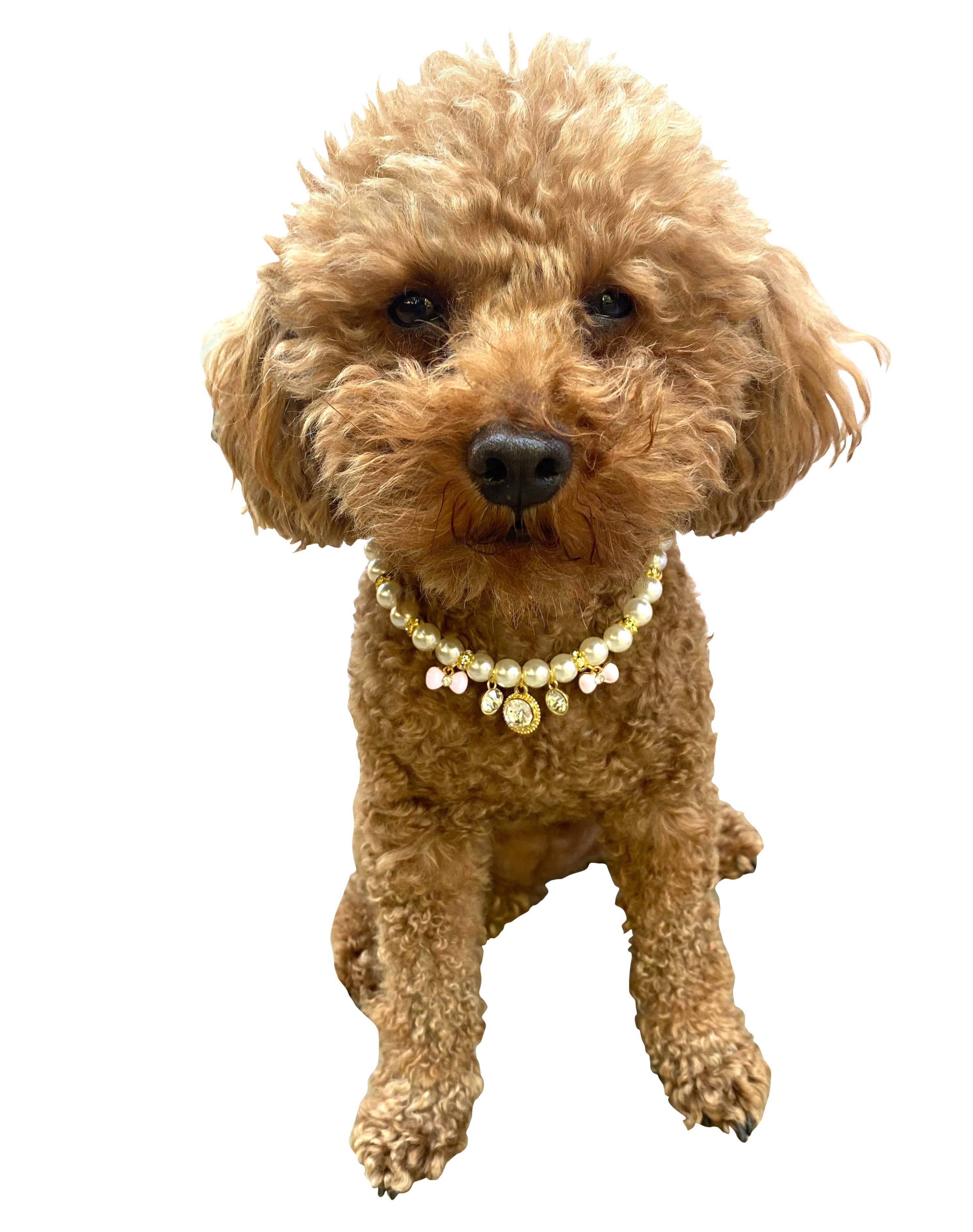 Pearl Charm Necklace with Pink Bow