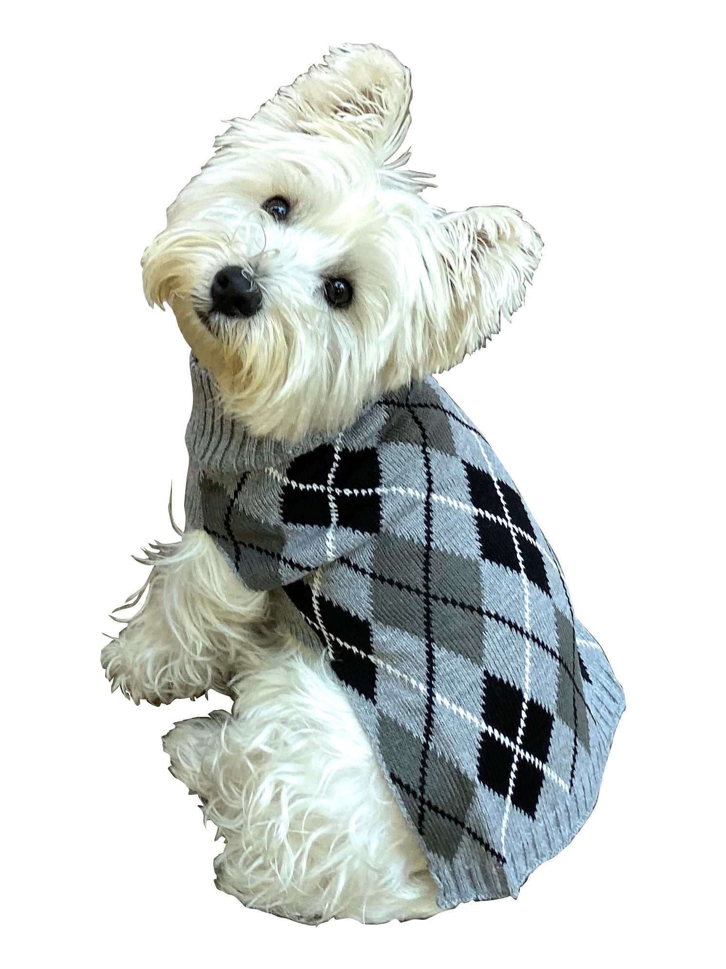 Edinborough Argyle, Mockneck, Grey