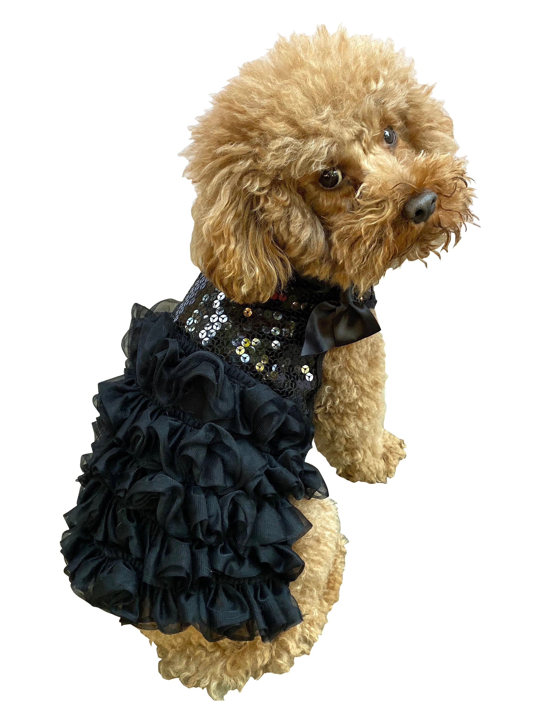 Some Like It Hot Dress, Black