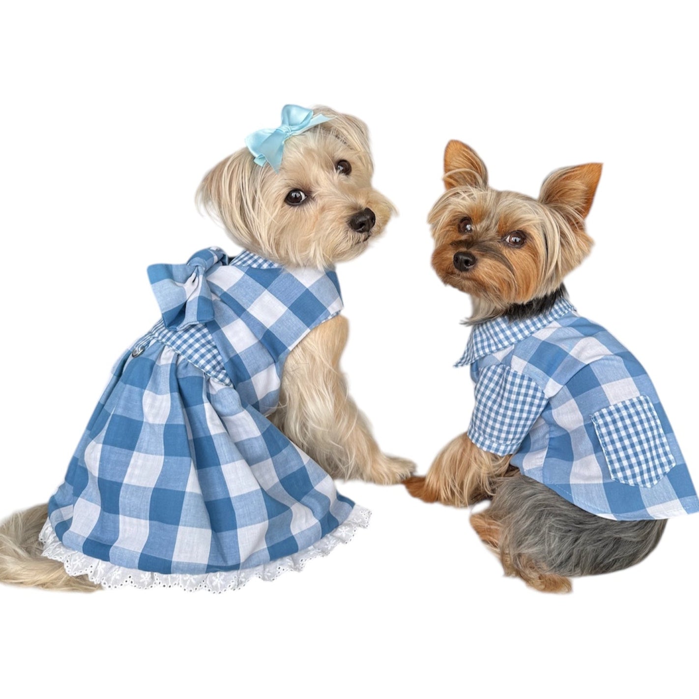 Heads or Tails Pup Gingham Picnic Dog Dress
