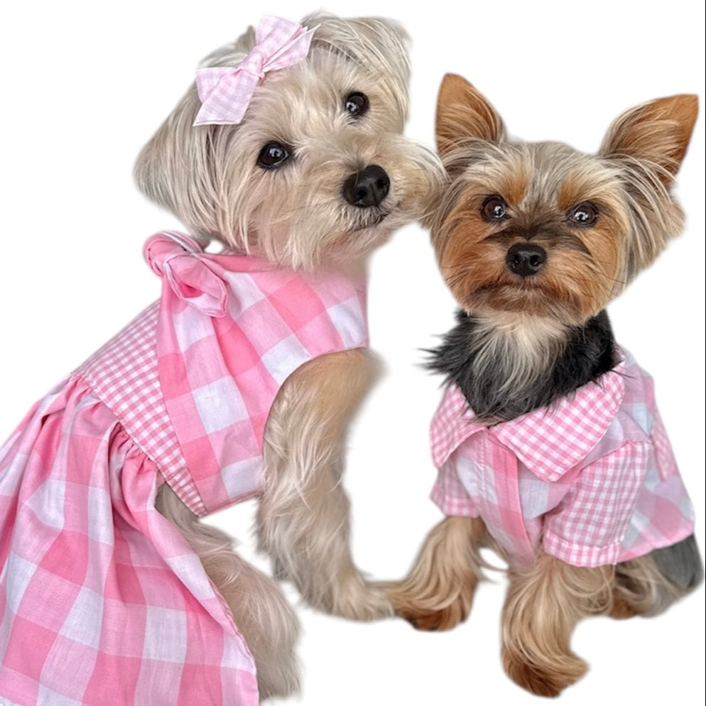 Gingham Picnic Dress