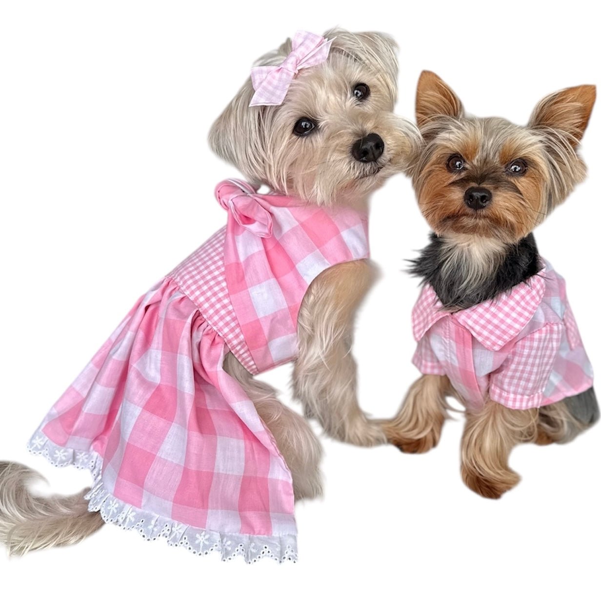 Heads or Tails Pup Gingham Picnic Dog Dress