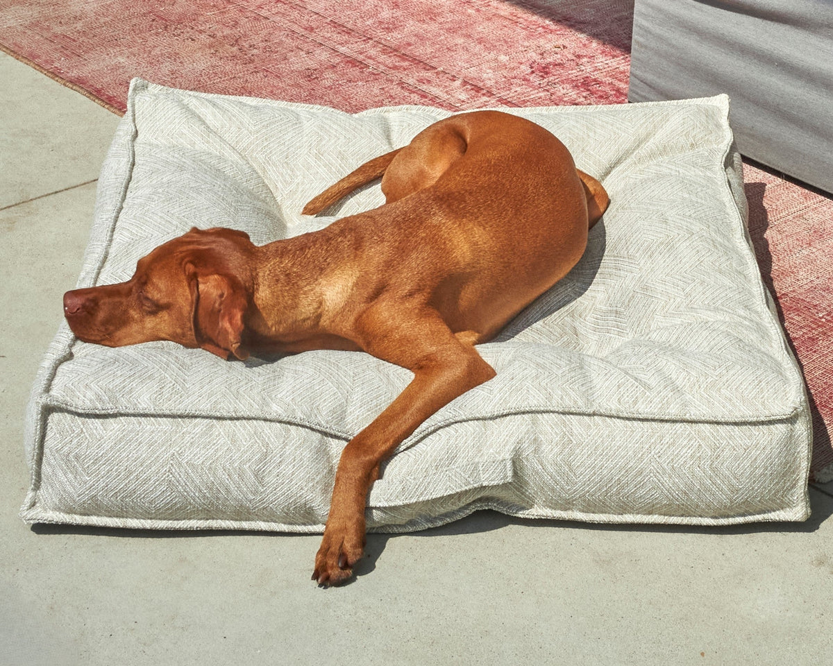 Bowsers Piazza Round Bolster Dog Bed - 360-Degree Head and Neck Support