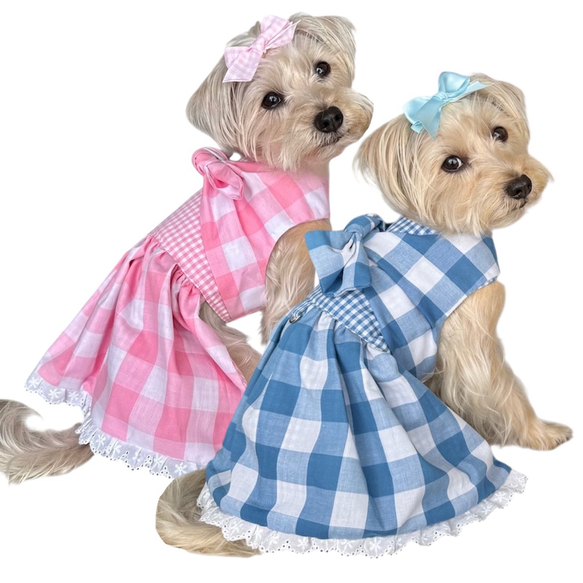 Heads or Tails Pup Gingham Picnic Dog Dress