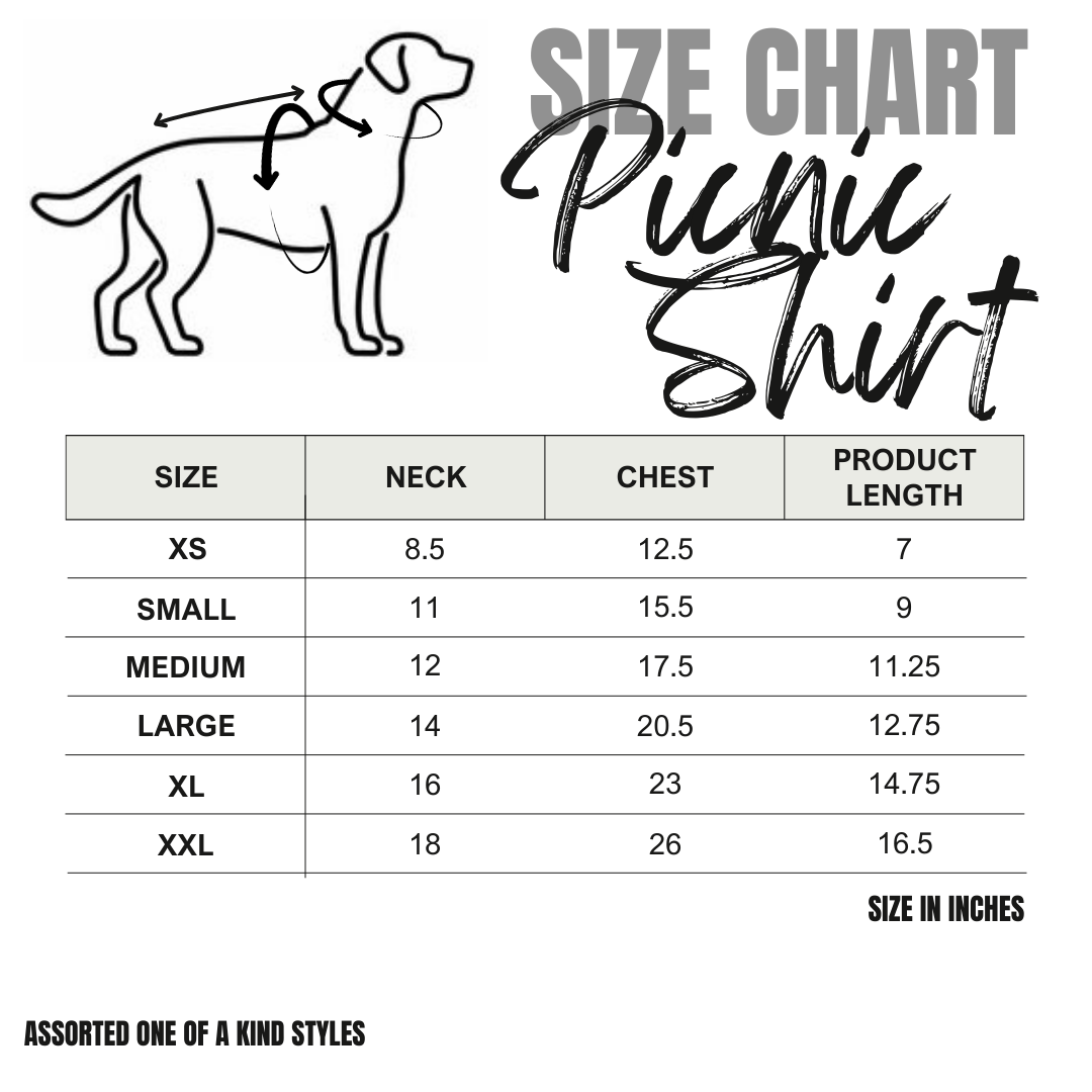 Gingham Picnic Shirt