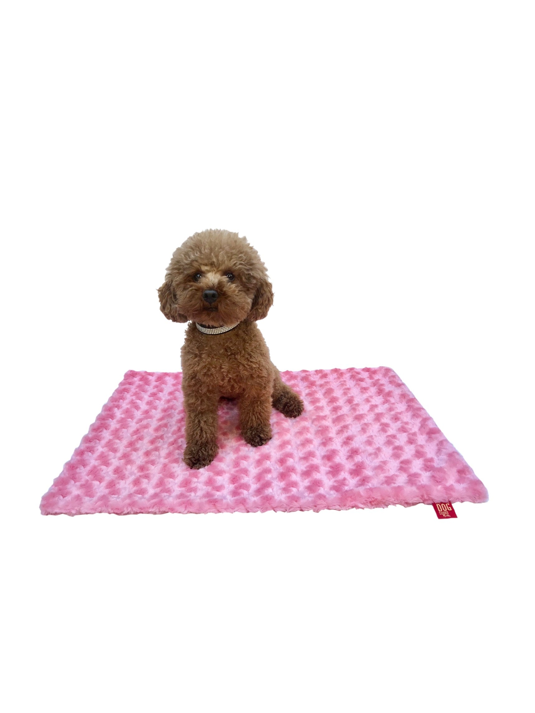 Rosebud Minkie Binkie, Coral