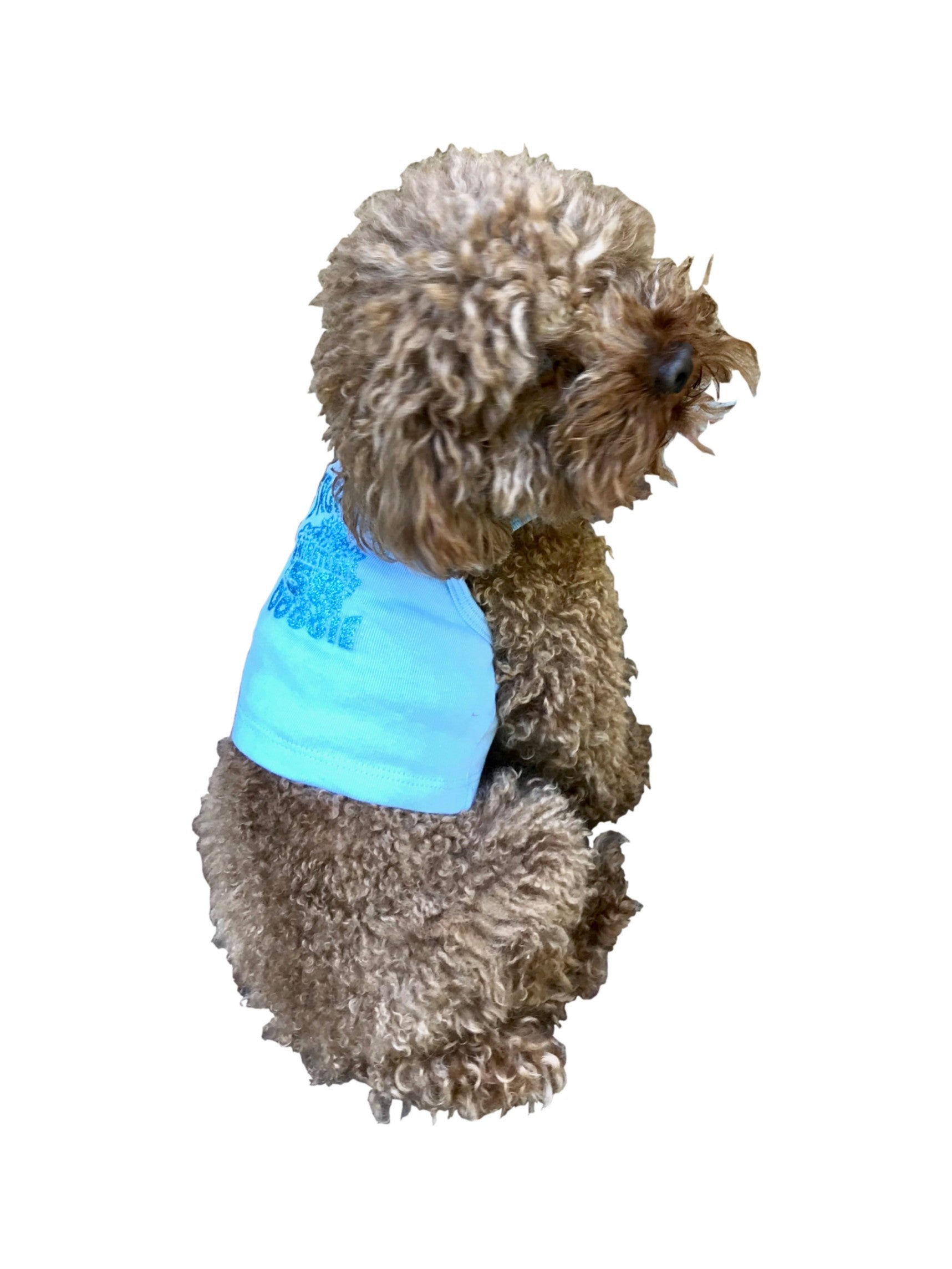 Tropical Dog Tank, Blue