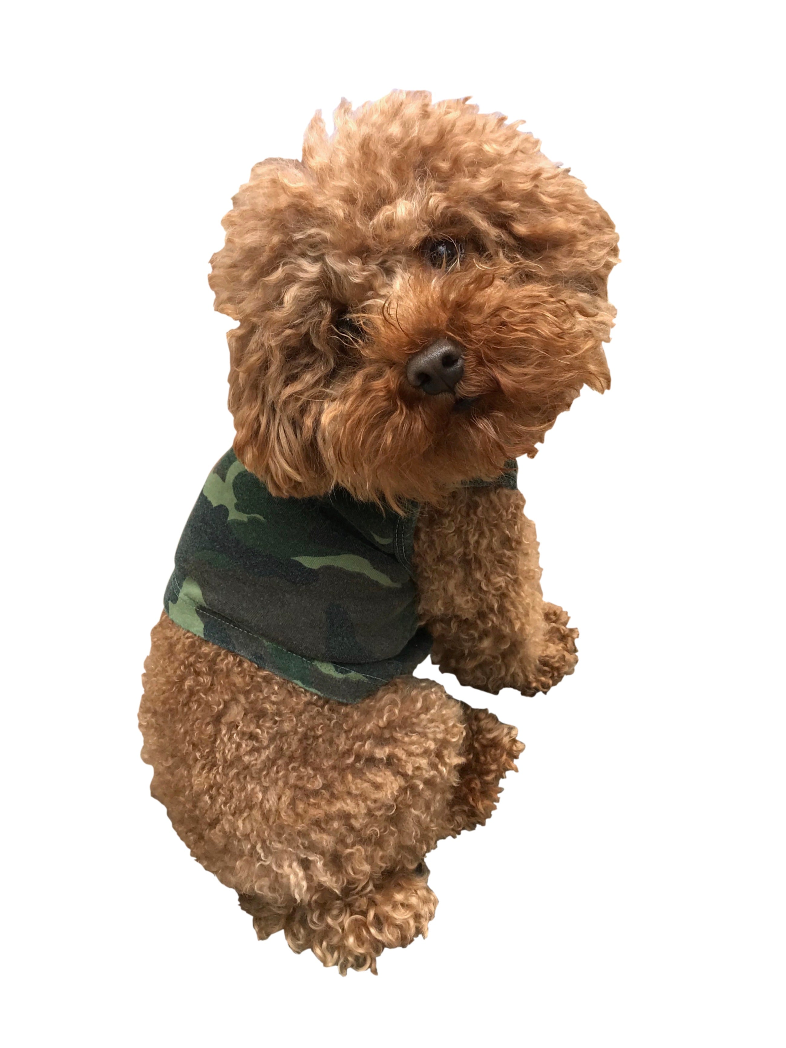 Olive Camo Tank with Straight bottom