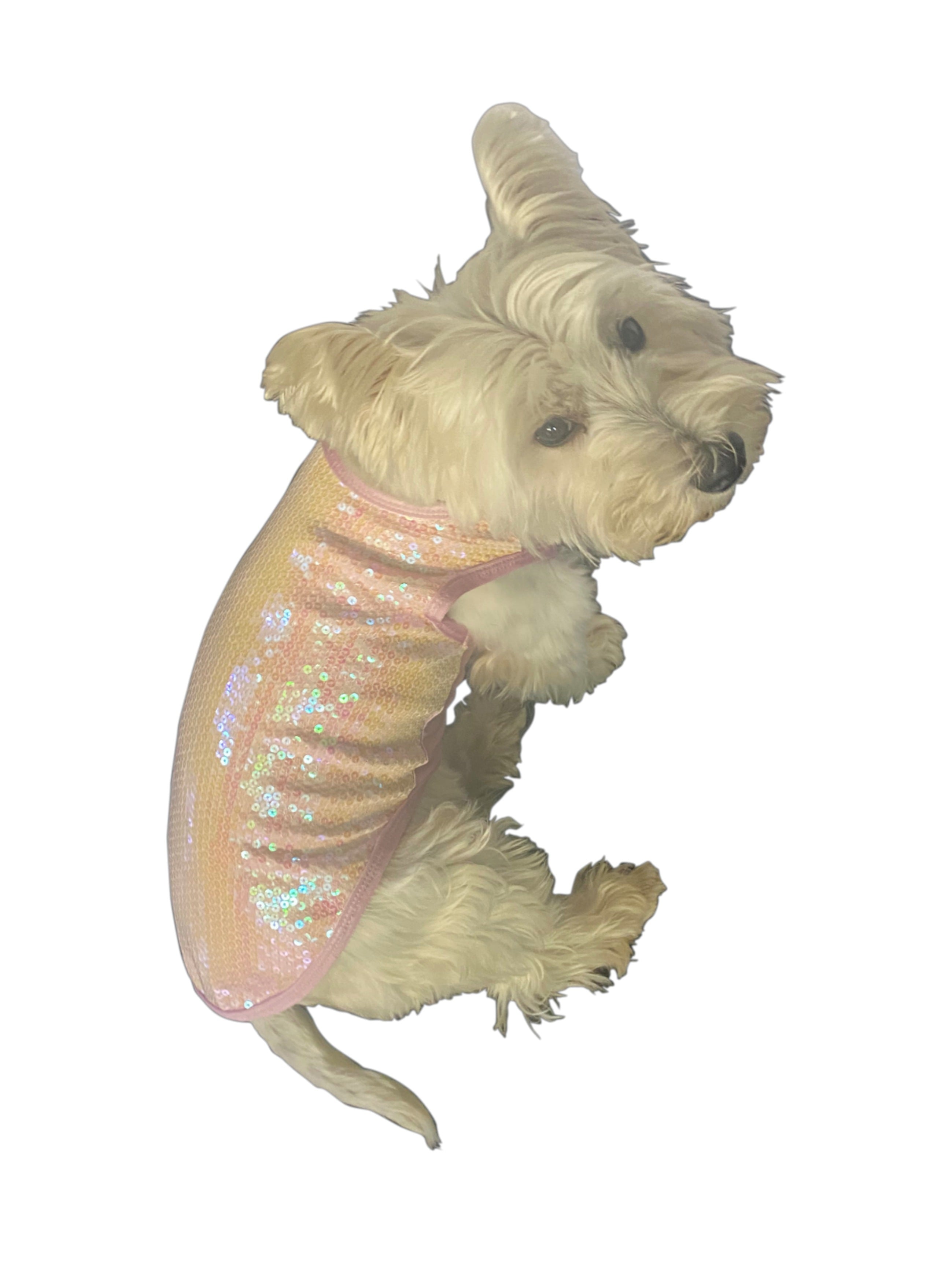 Malibu Dream Tank in Blush with Iridescent sequins