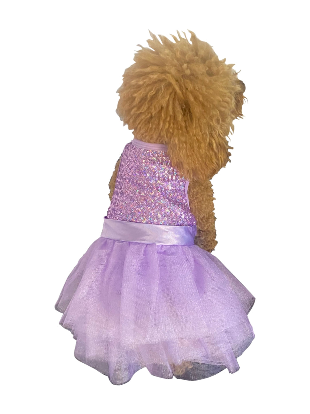 Luminous Lilac Sequin Tutu