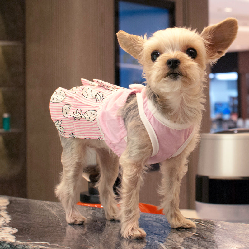 DOGO Pineapple Dog Dress