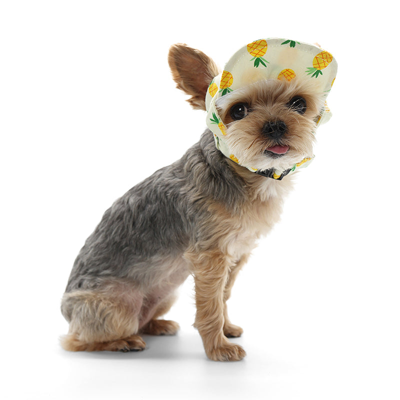 DOGO Yellow Pineapple Dog Baseball Hat