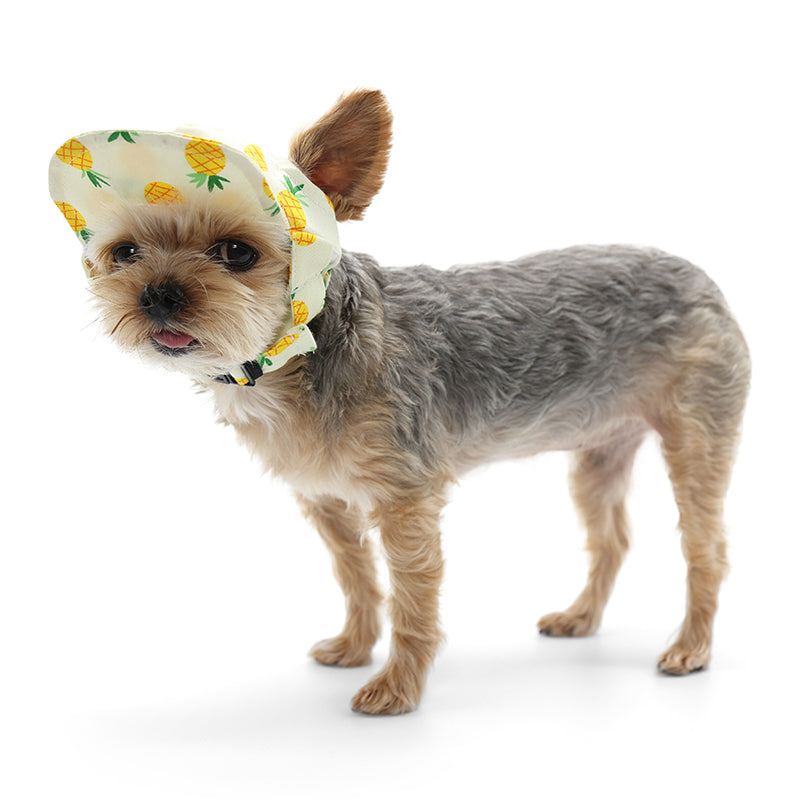 DOGO Yellow Pineapple Dog Baseball Hat