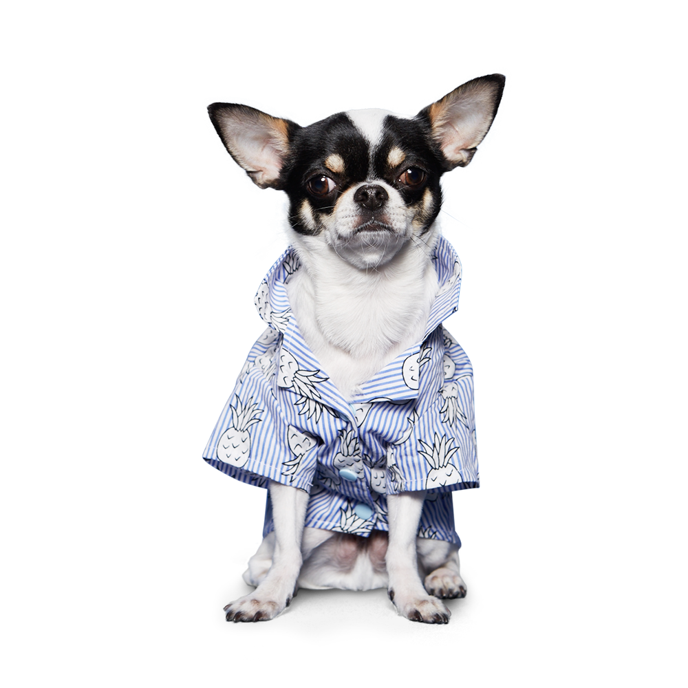 DOGO Pineapple Striped Dog Shirt
