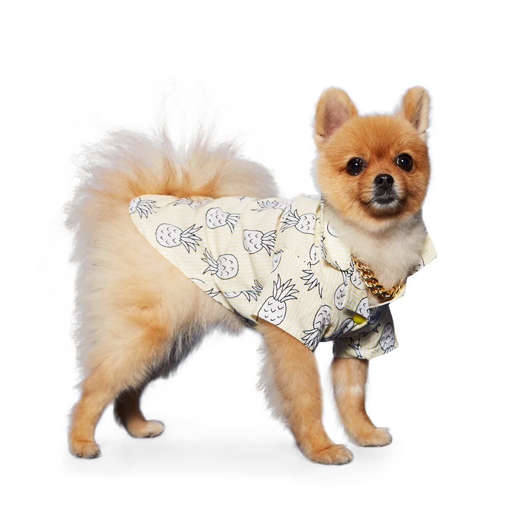 DOGO Pineapple Striped Dog Shirt
